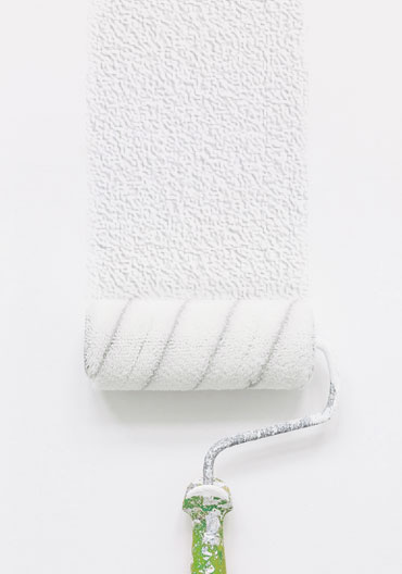 Mineral textured paint