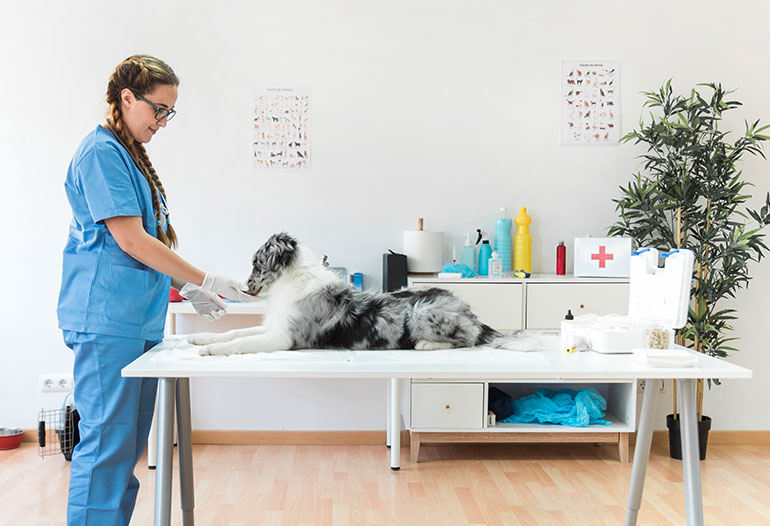 Ecological antibacterial paint