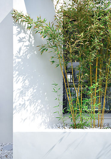 გრაფენსტოუნი Skyline housing პროექტი Larcosta International-სგან